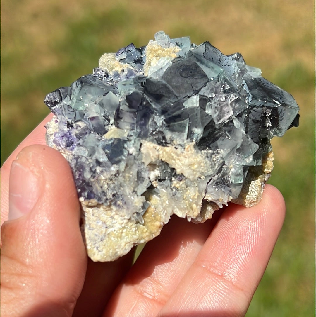 “90’s Babies!” Yindu Fluorite Clusters