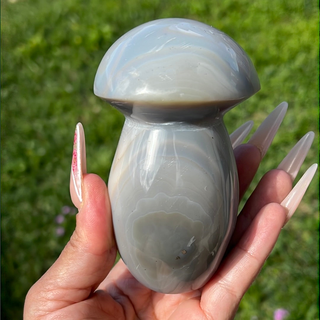 “Swirls & Stripes” Banded Agate Mushroom