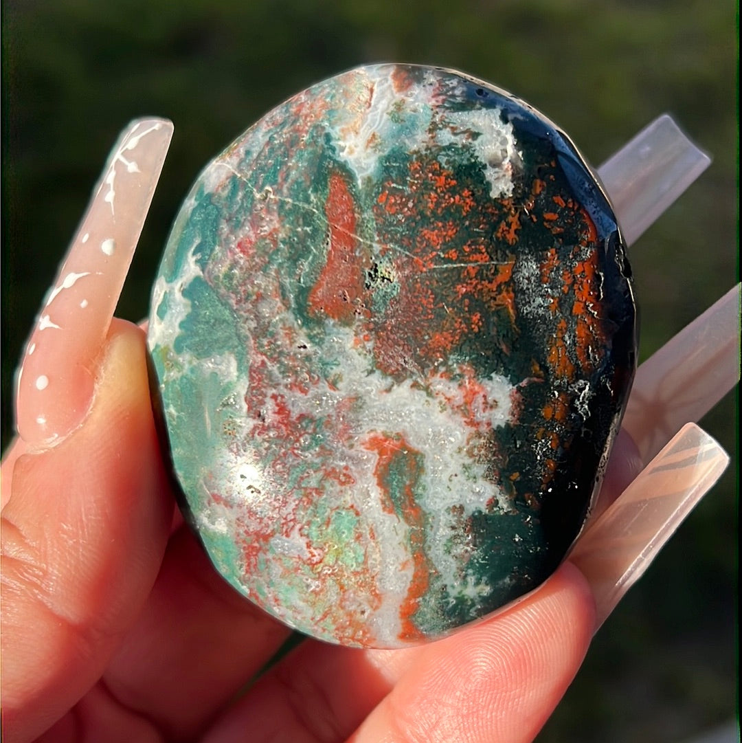 “Poinsettia” Bloodstone Palm Stones