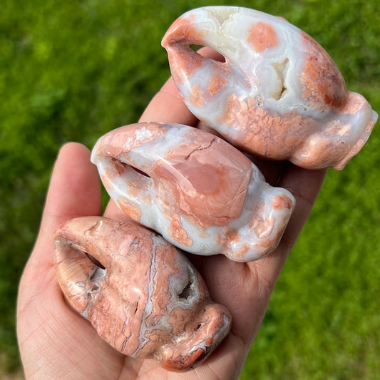 Pink Agate Crab Claw Carvings