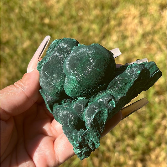 “Emerald Velour” Velvet Botryoidal Malachite Cluster