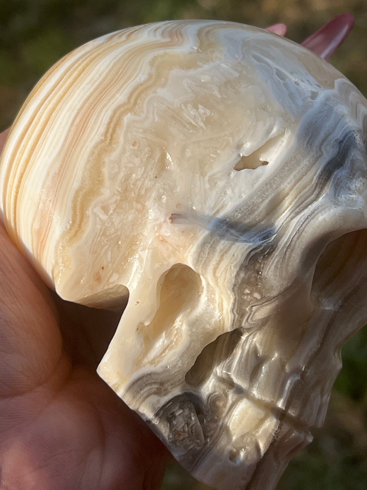 “Skeletal Swirls” Zebra Calcite Skulls