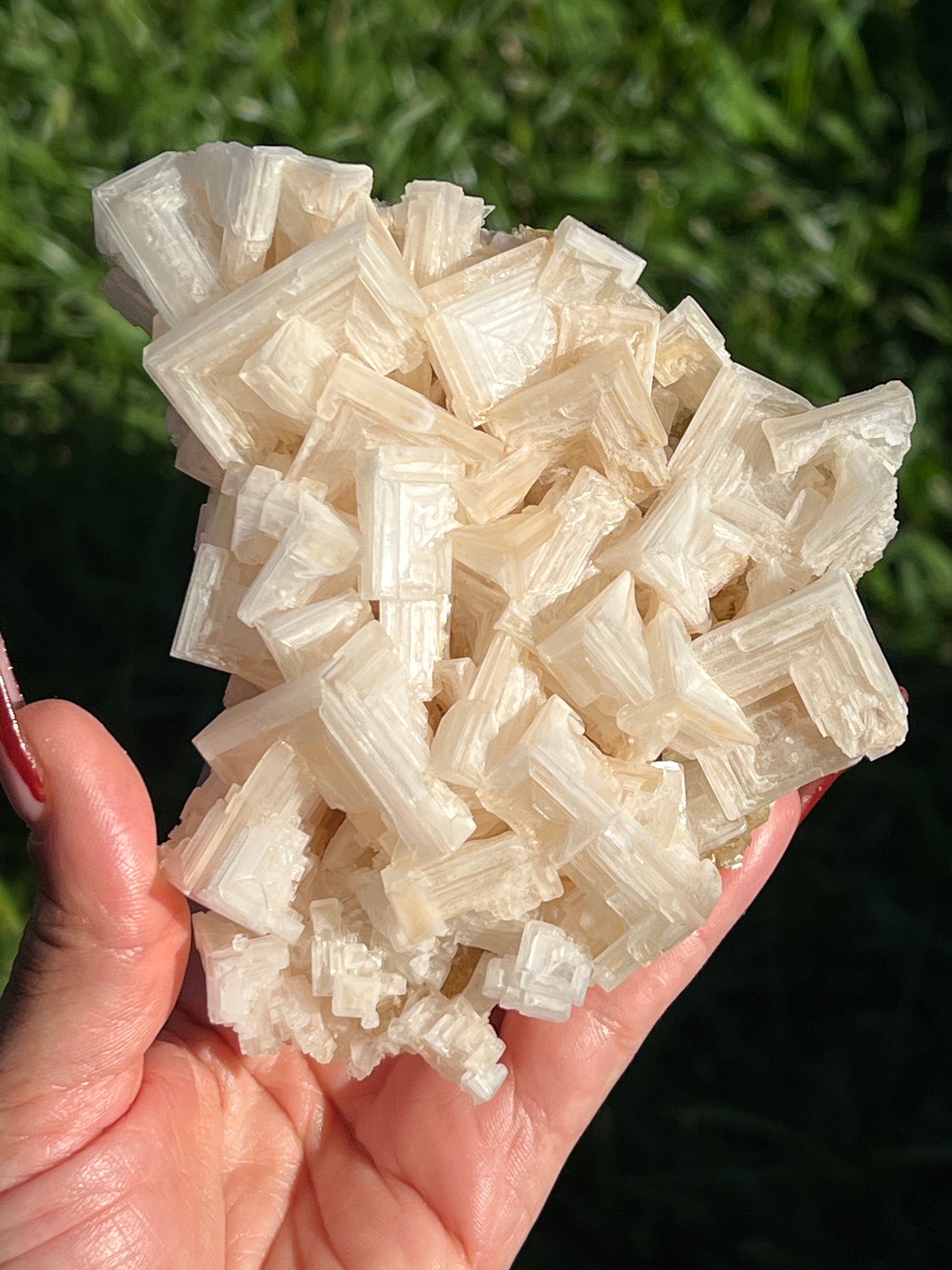 “Effervescent” Halite on Trona Clusters