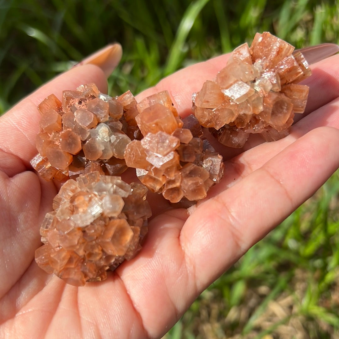 “Coral” Orange Aragonite Clusters