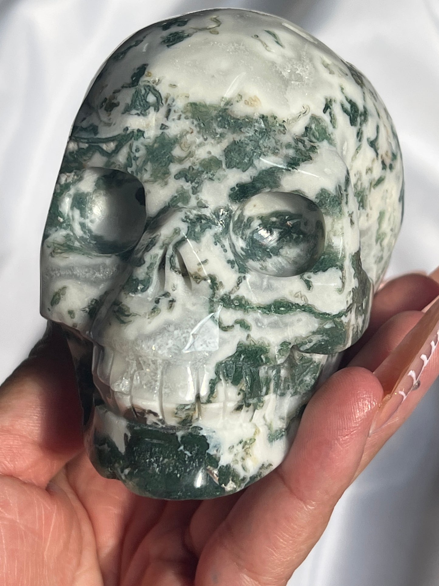 “Green Pastures” Moss Agate/Tree Agate Skulls