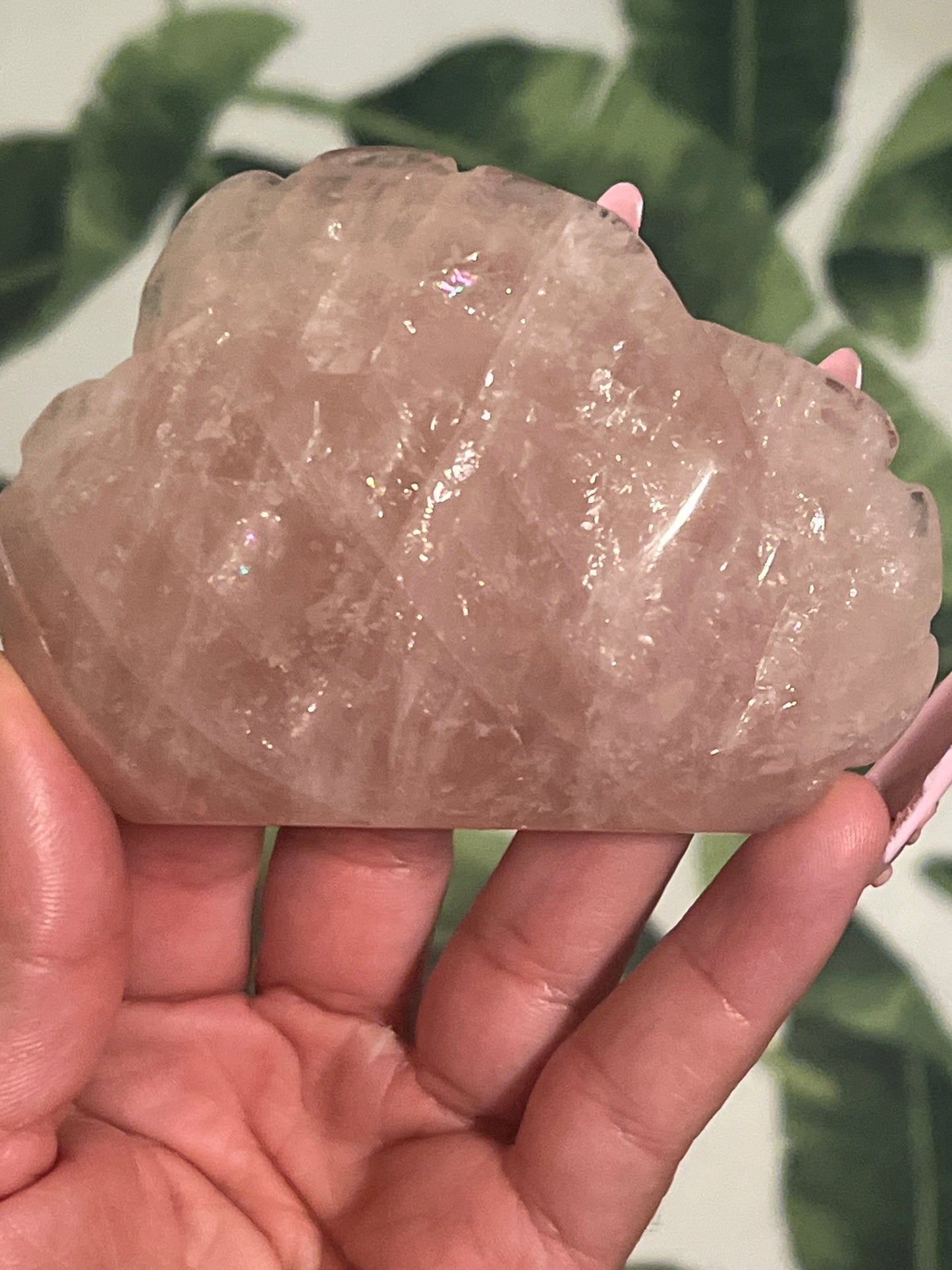 “Delicate Blossom” Rose Quartz Rose