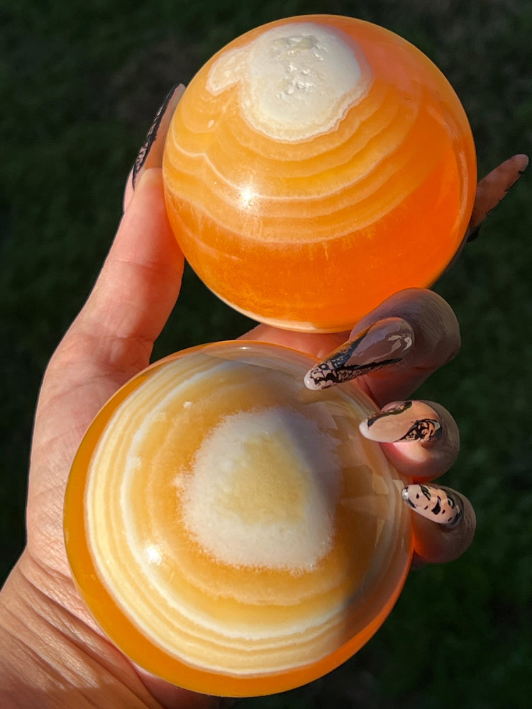 Pumpkin Patch