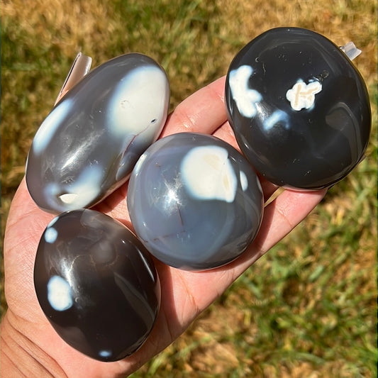 “Killer Bod Pod” Orca Agate Palm Stones