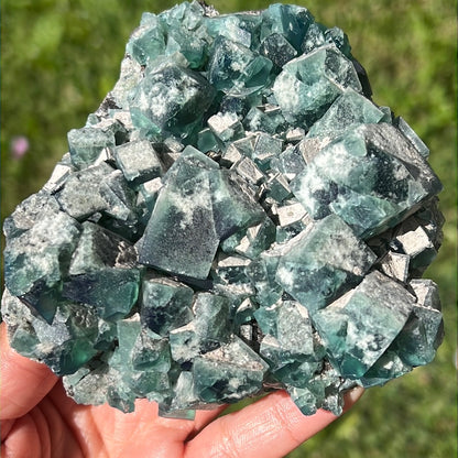 Large Heavy Metal English Fluorite Cluster HM-3