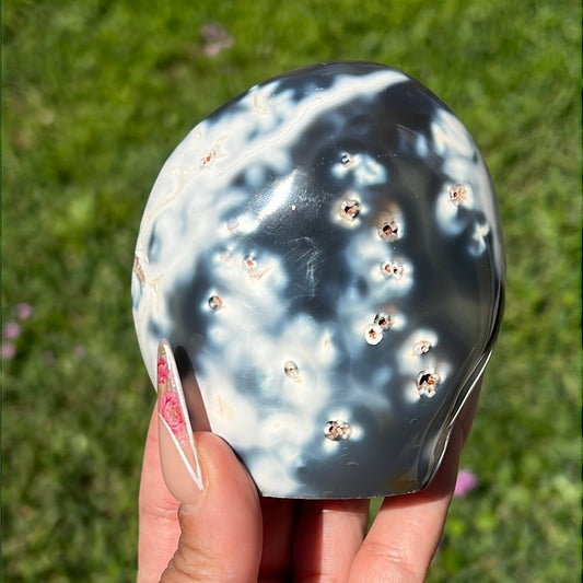 “Wish you Whale” Orca Agate Free Form