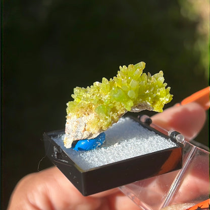 “Chartreuse” Pyromorphite Cluster