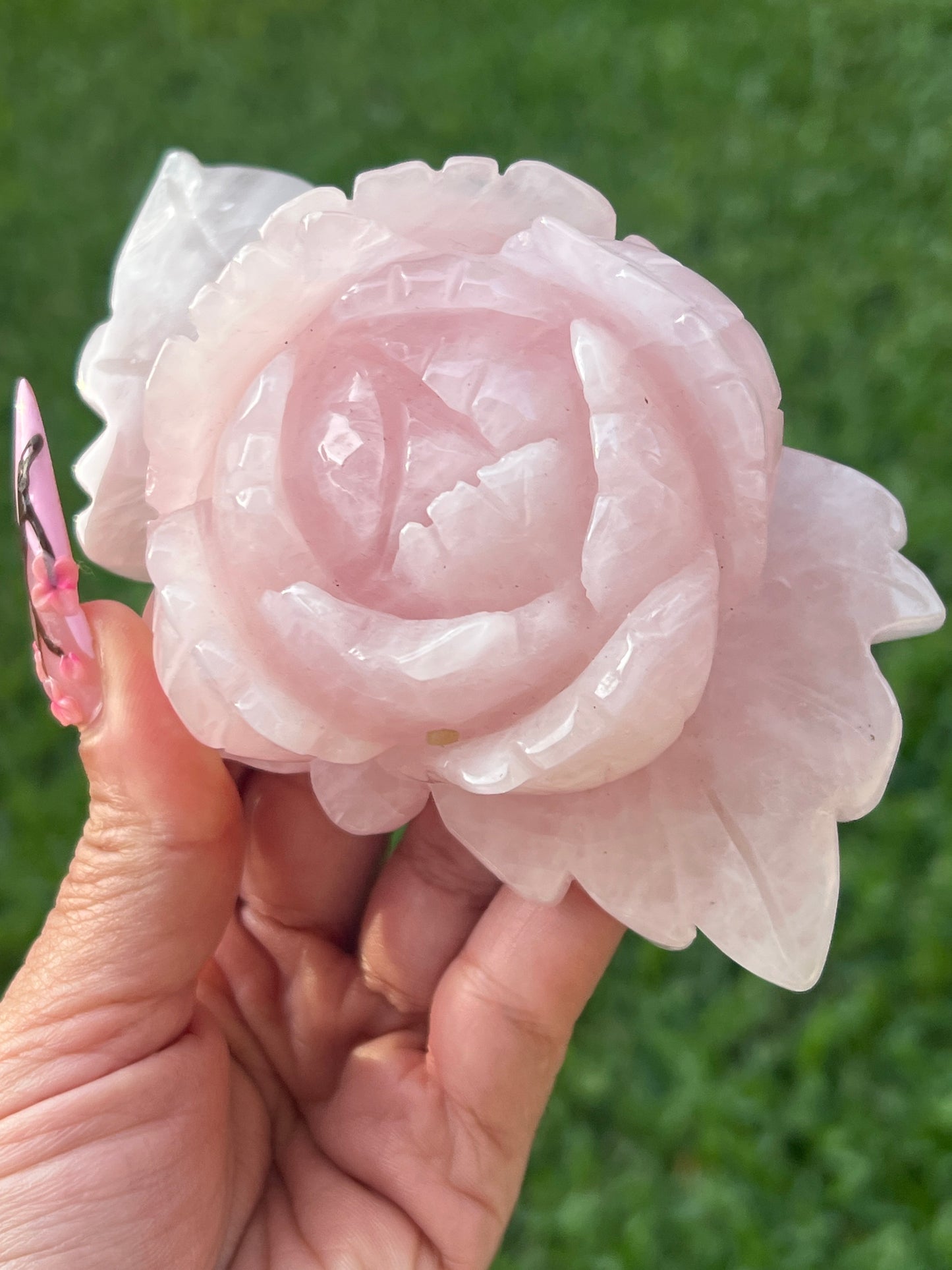“Rosita” Large Rose Quartz Rose