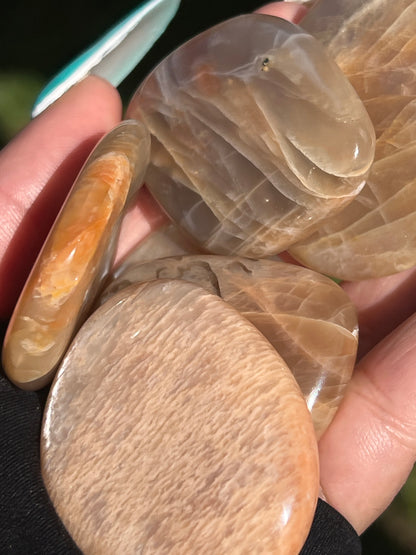 “Peach Pie” Small Peach Moonstone Palm Stones