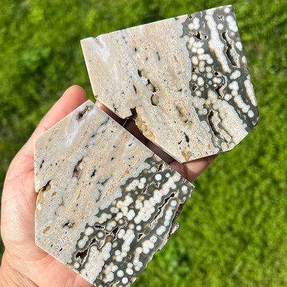 Earthy Orbicular Jasper Slabs