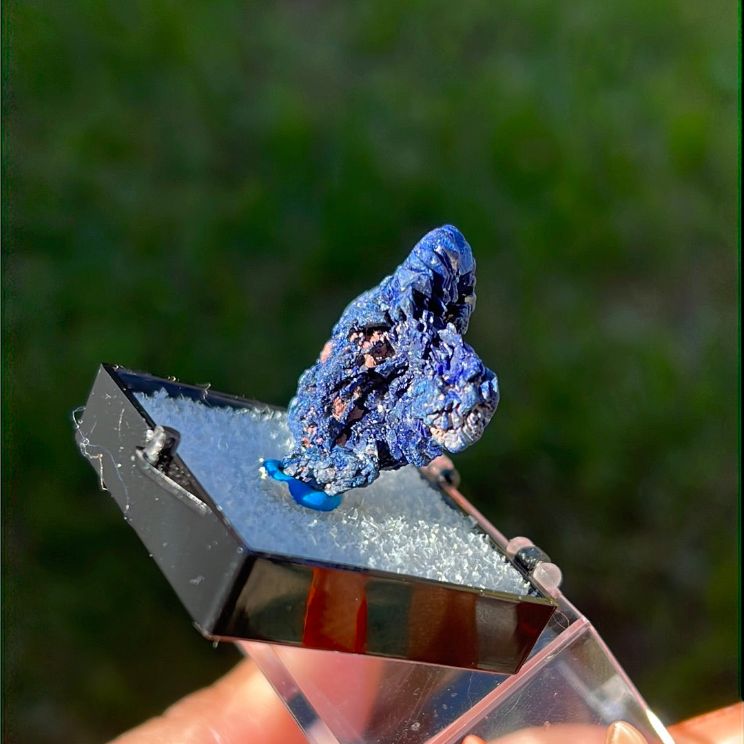 “Sapphire” Druzy Azurite Chunk