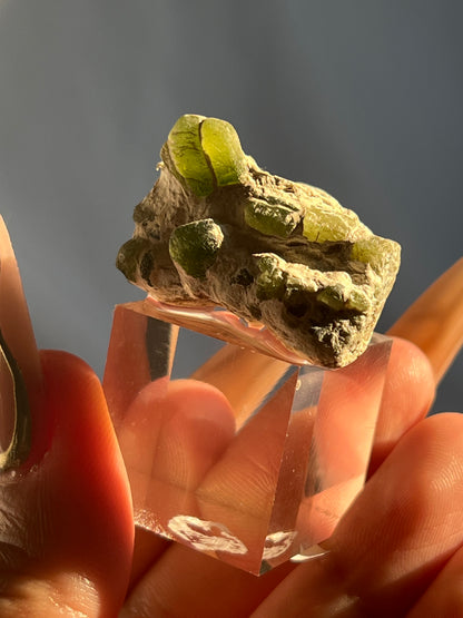 Medium-Large Peridot Clusters