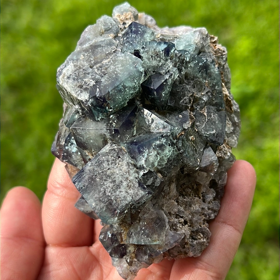 Hidden Forest Pocket English Fluorite Clusters HFP-2