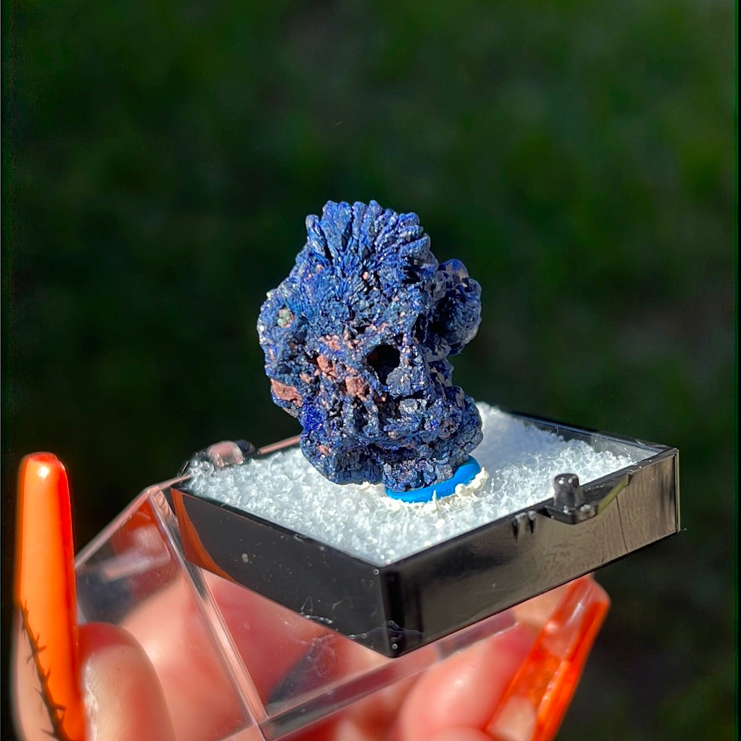 “Sapphire” Druzy Azurite Chunk