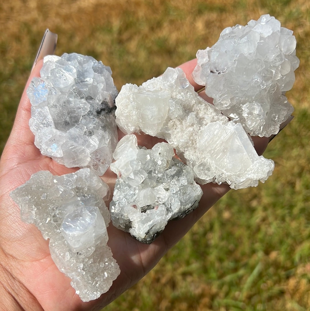 “Disco Ball Dew” Apophyllite Clusters