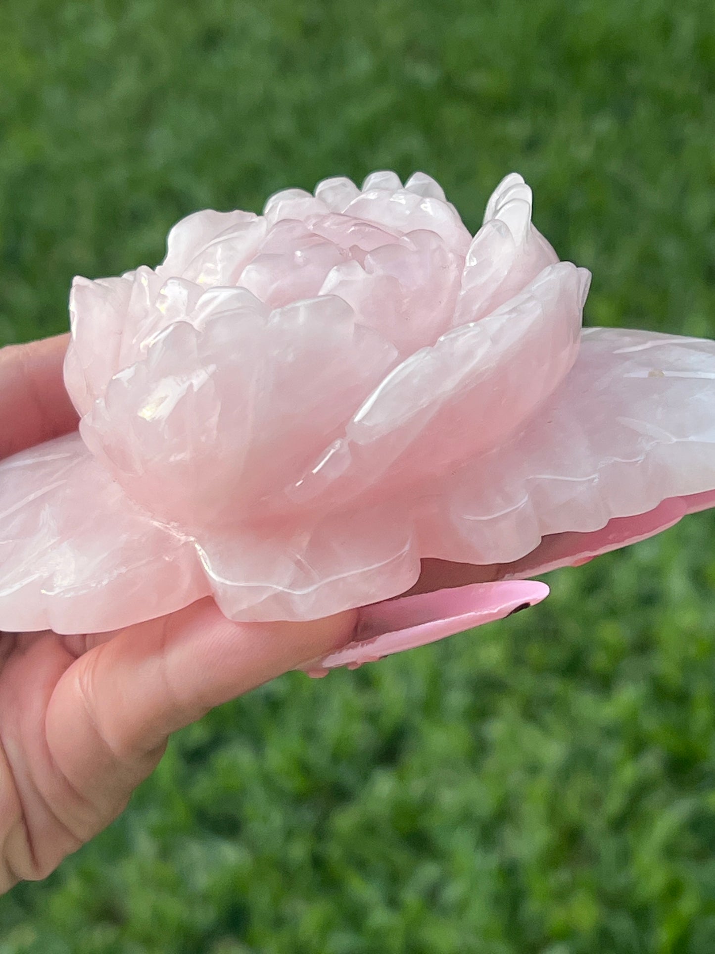 “Rosita” Large Rose Quartz Rose