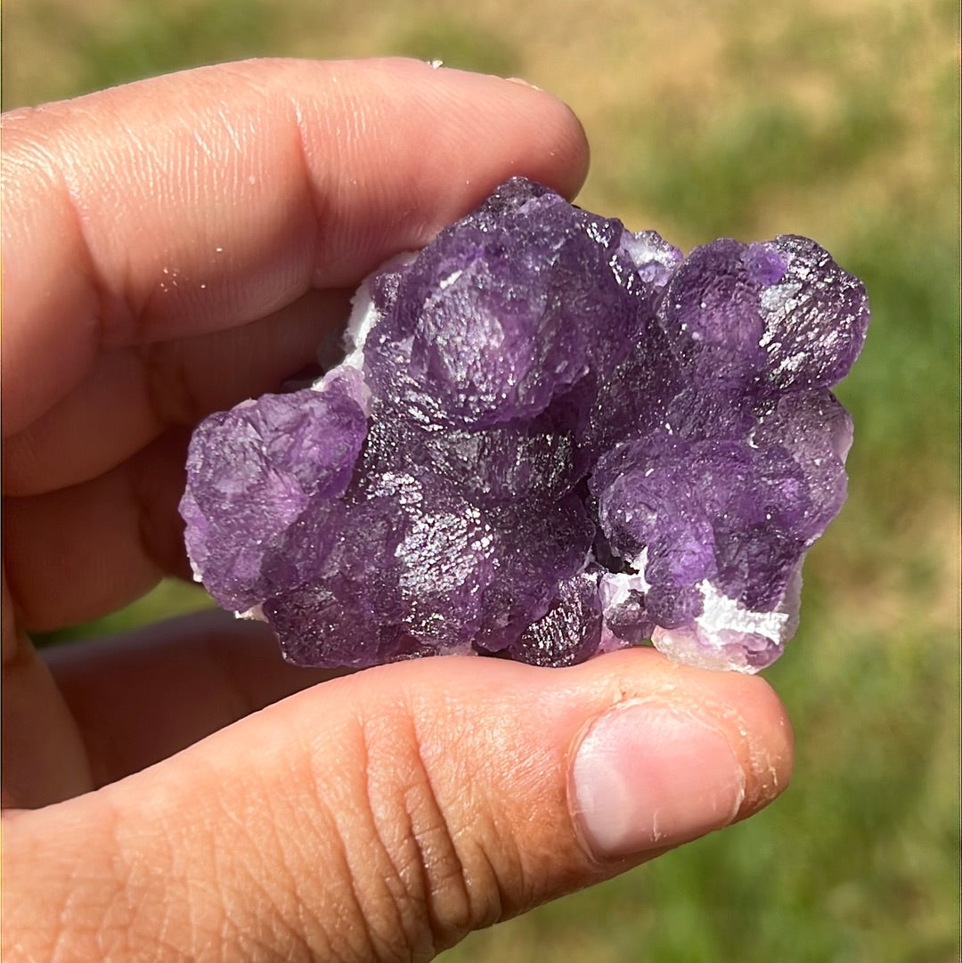 “Berry Compote” Botryoidal Fluorite Clusters
