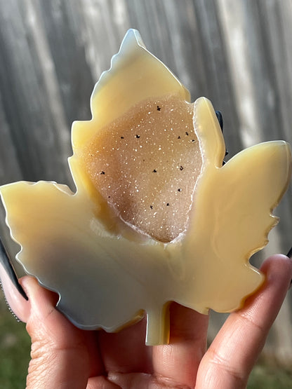 Druzy Agate Leaves