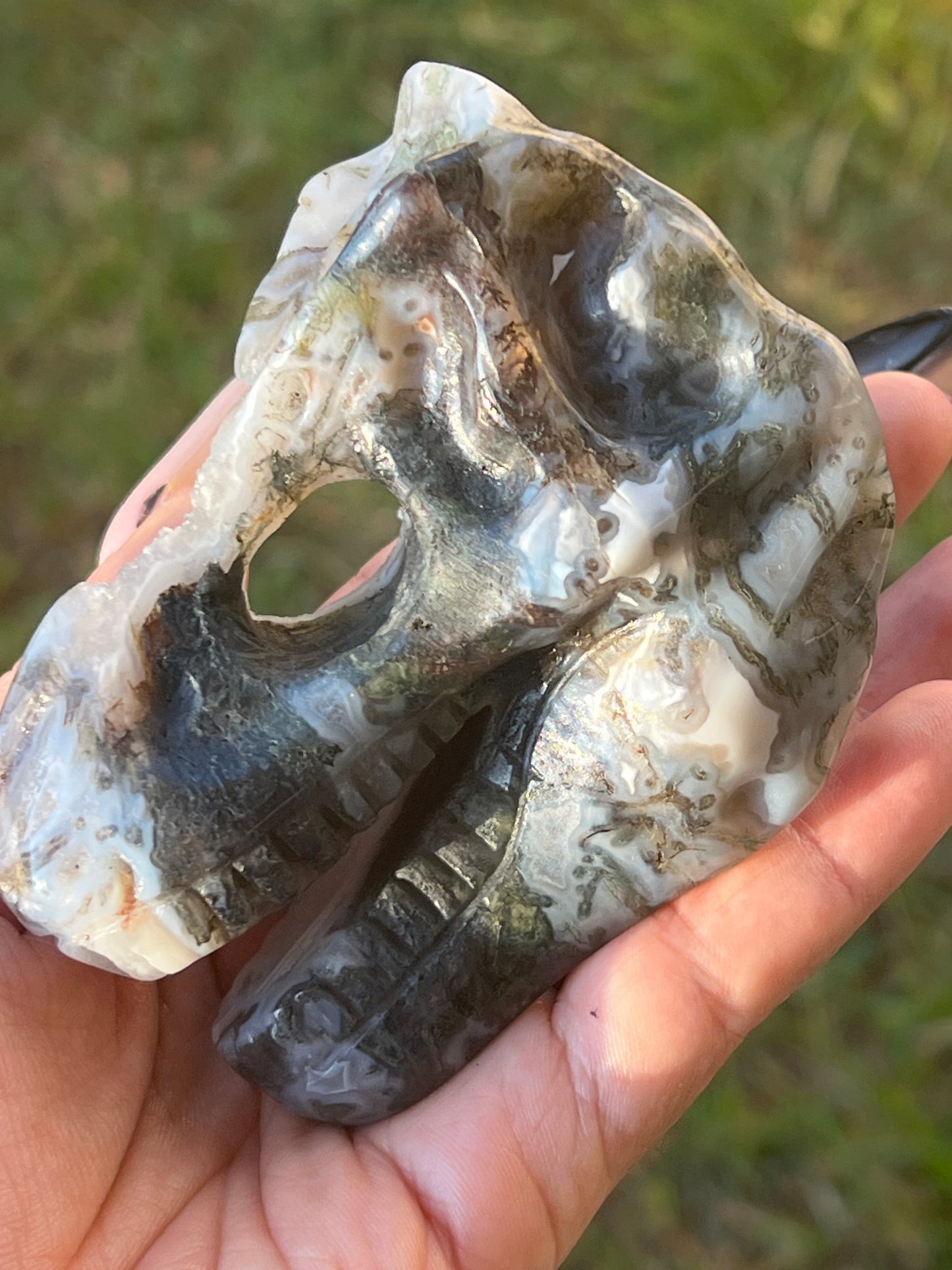 “Moss-asaurus” Druzy Moss Agate Dino Skull