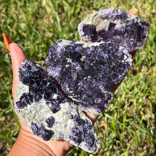 “Plum Pocket Pie” Anhui Purple Fluorite Clusters