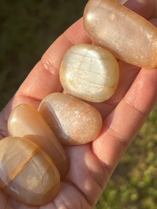 “Glistening Peach Slice” Peach Moonstone Tumbles