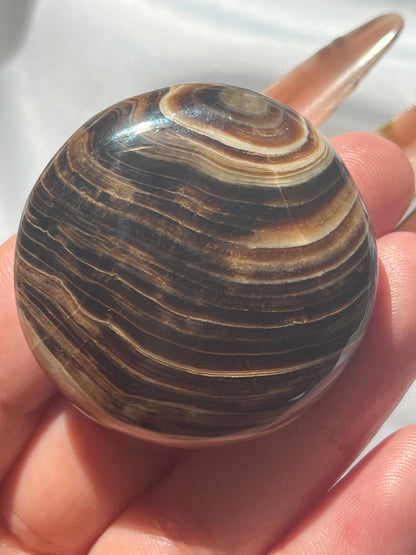 “Fresh Baked” Small Chocolate Calcite Palm Stones