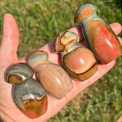 “Pink Pocket” Polychrome Jasper Mushrooms