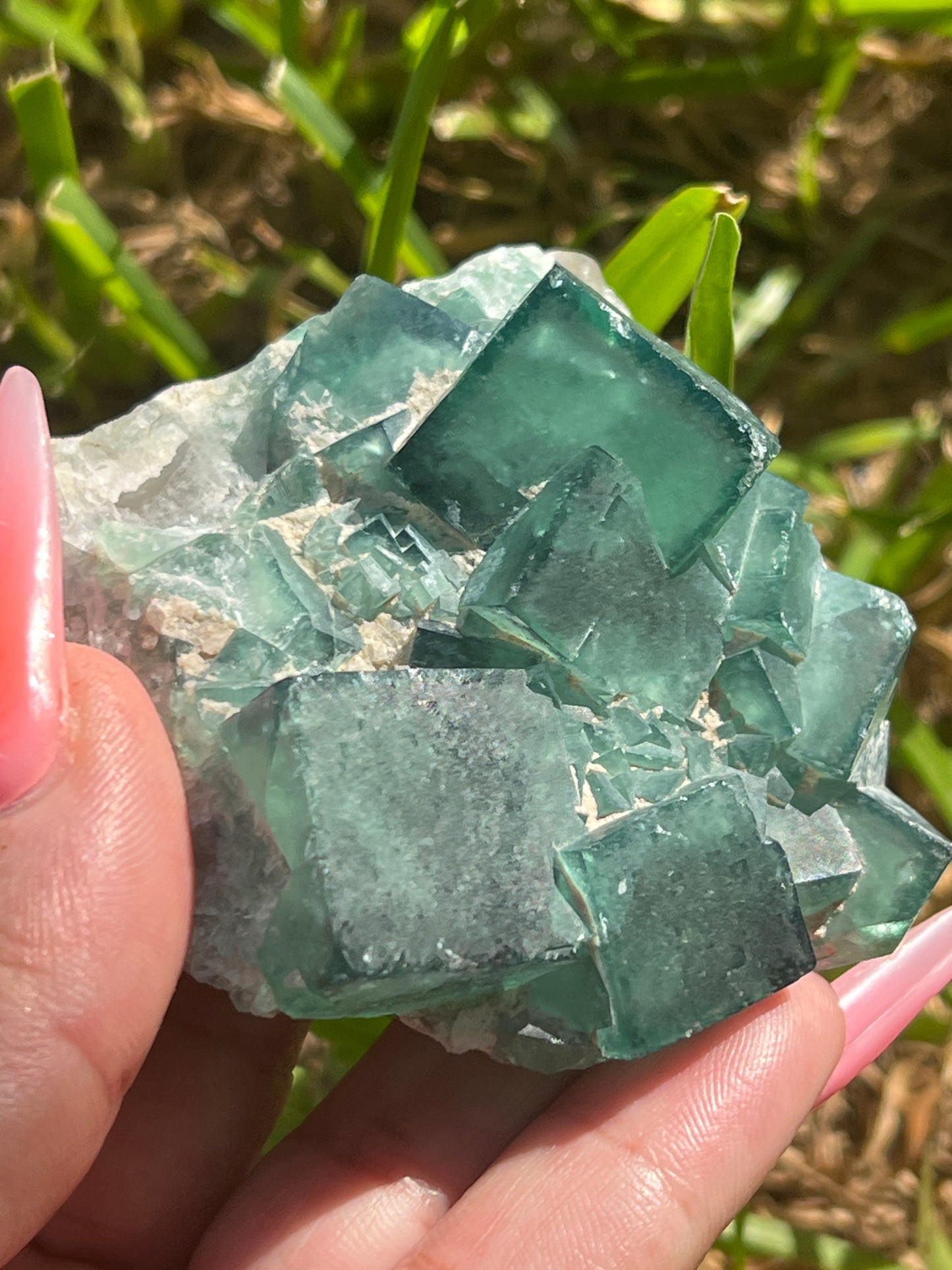 “Poolside” Gusher Green Moroccan Fluorite Cluster