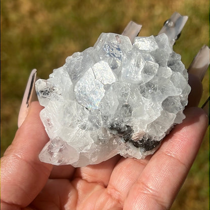 “Disco Ball Dew” Apophyllite Clusters