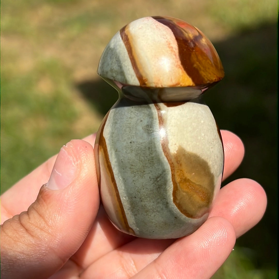 “Pink Pocket” Polychrome Jasper Mushrooms