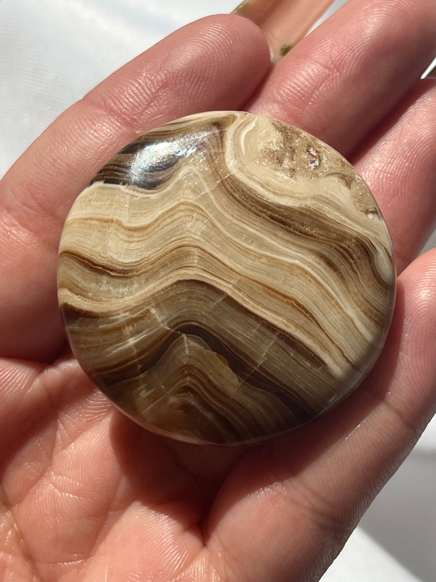 “Fresh Baked” Small Chocolate Calcite Palm Stones