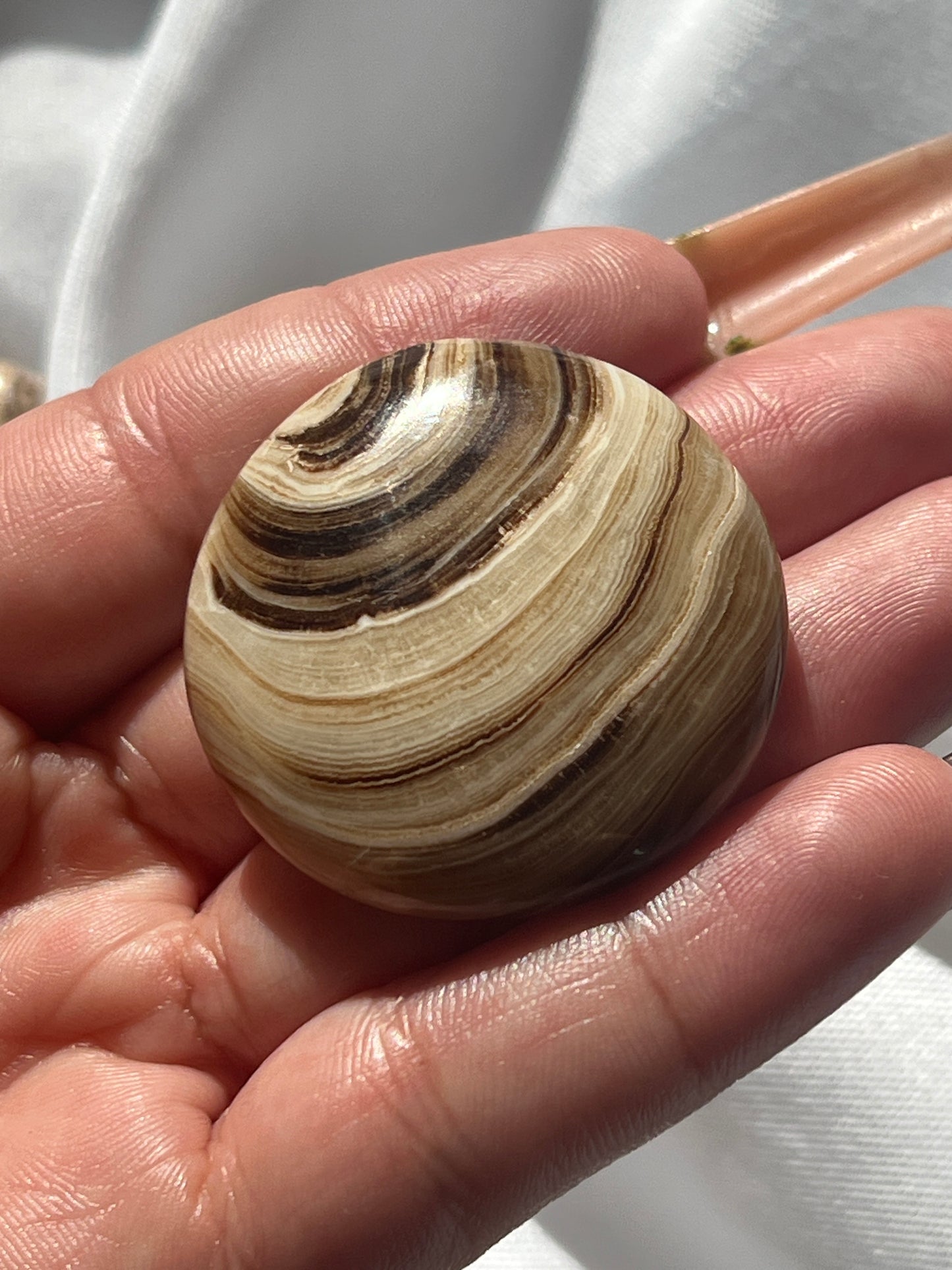 “Fresh Baked” Small Chocolate Calcite Palm Stones