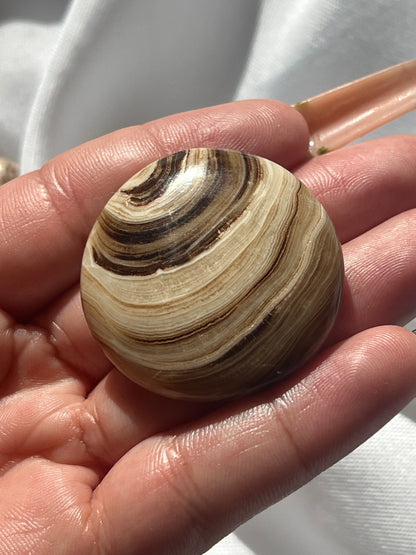 “Fresh Baked” Small Chocolate Calcite Palm Stones