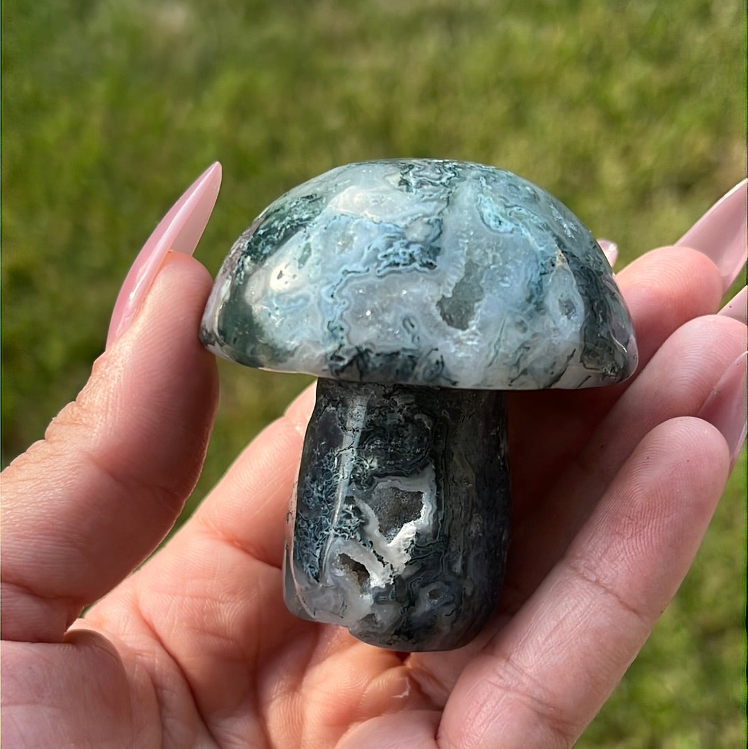 “Mushroom Madness” Moss Agate Mushrooms