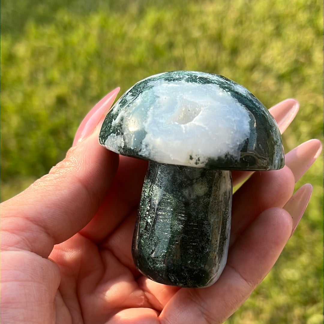 “Mushroom Madness” Moss Agate Mushrooms