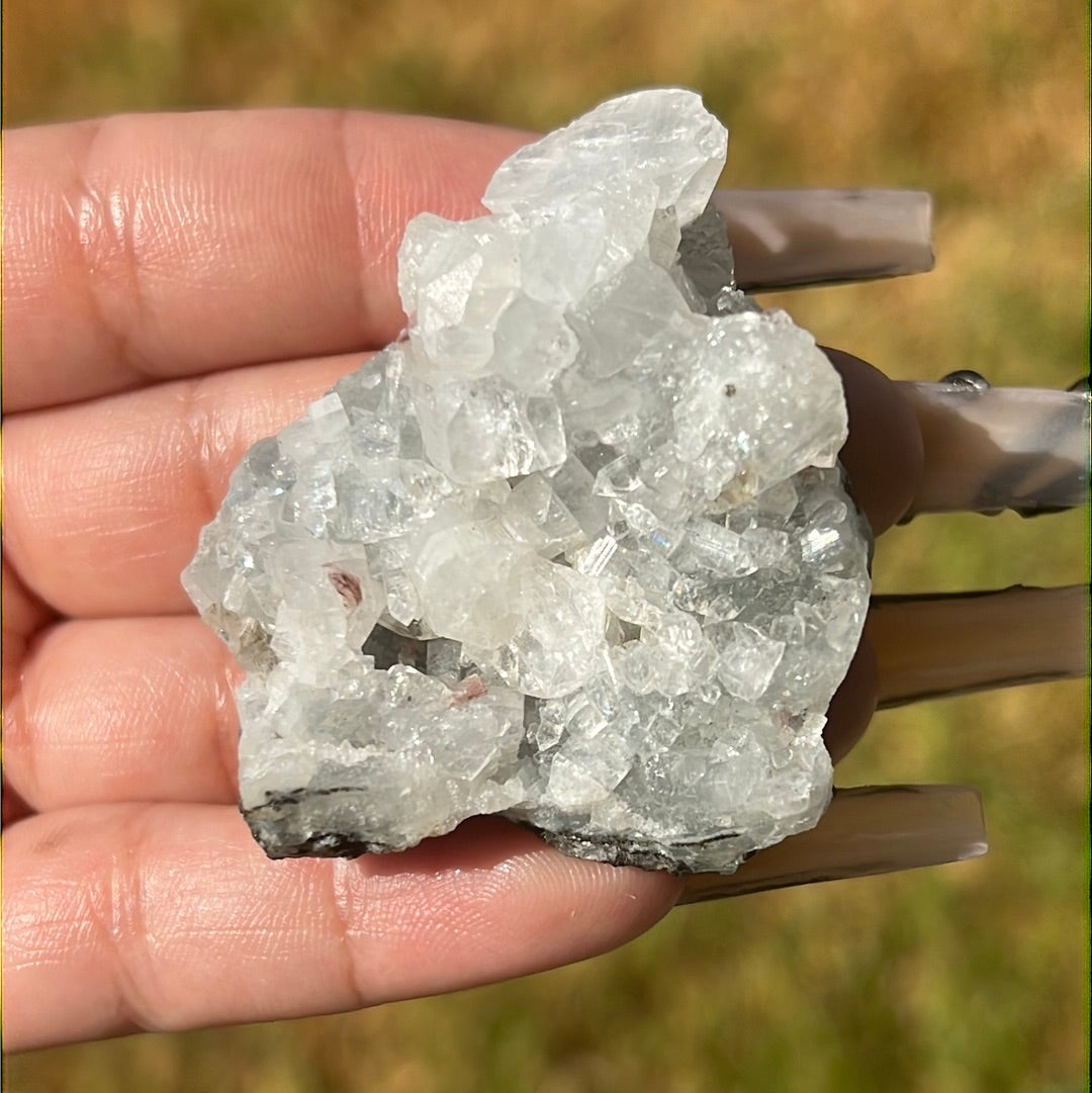 “Disco Ball Dew” Apophyllite Clusters