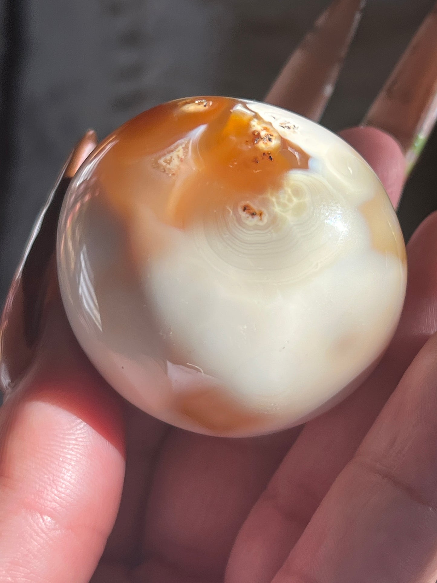 “Crunching Leaves” Carnelian & Agate Palm Stones