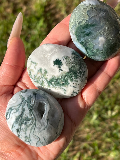 “Fern-tastic!” Moss Agate & Tree Agate Palm Stones