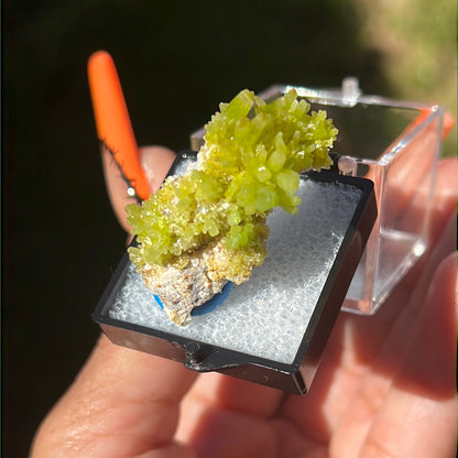 “Chartreuse” Pyromorphite Cluster