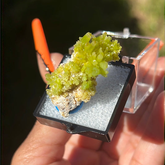 “Chartreuse” Pyromorphite Cluster