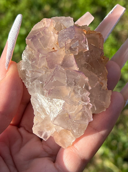 Small-Medium Balochistan Fluorite Clusters