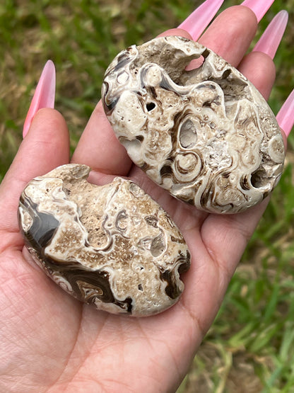 “Cookie Crisp” Chocolate Calcite Palm Stones