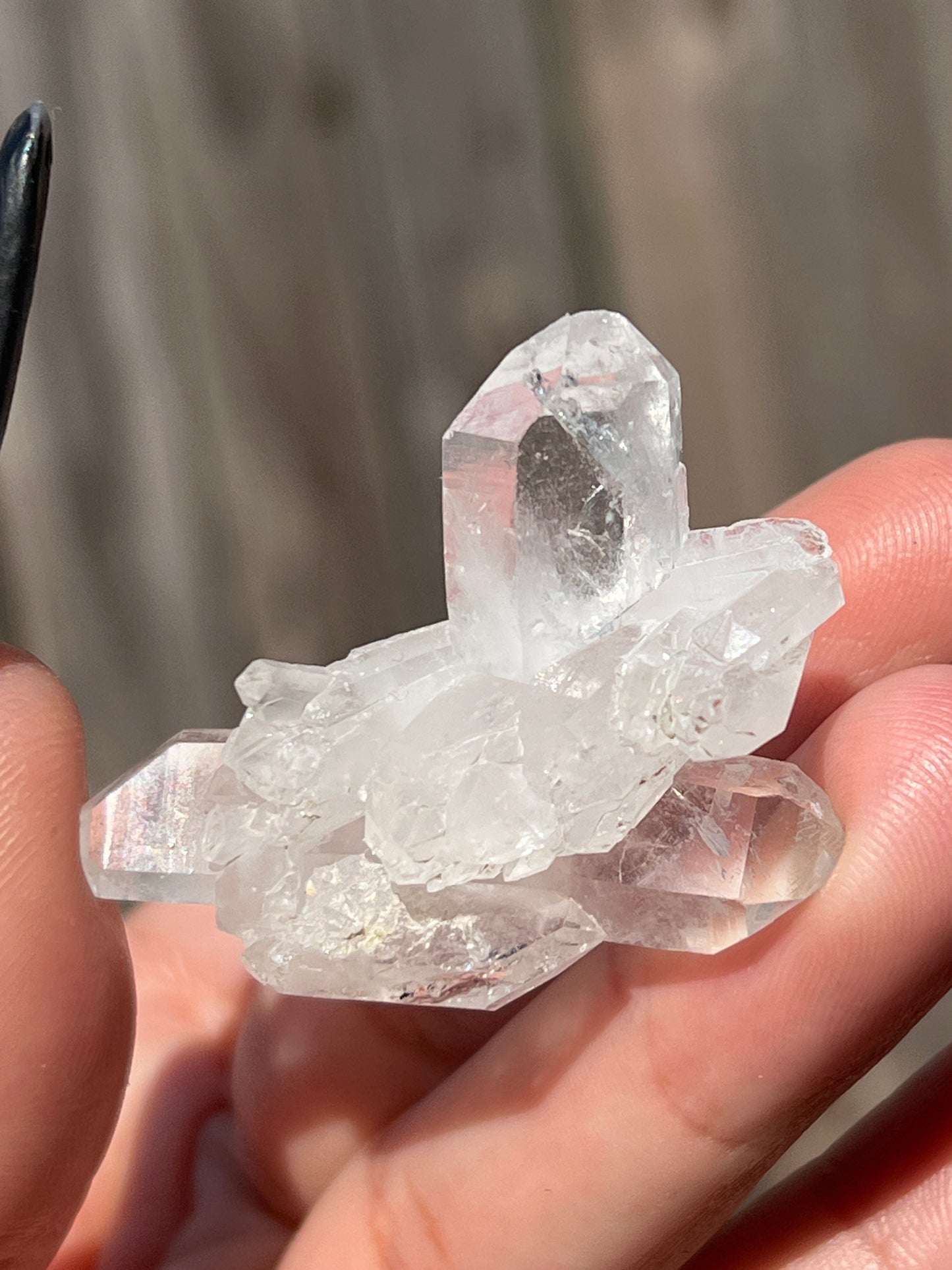 “Crystalline” Medium Faden Quartz Clusters