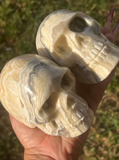 “Skeletal Swirls” Banded Onyx & Calcite Skulls