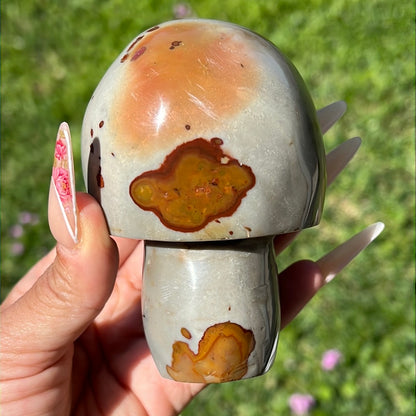 “Kawaii Style” Polychrome Jasper Mushroom