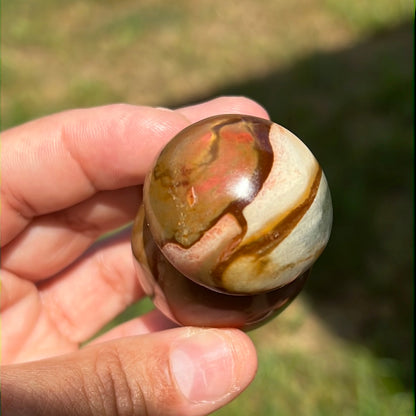 “Pink Pocket” Polychrome Jasper Mushrooms